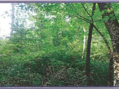 (値下げ) 山梨県北杜市 甲斐小泉駅20分 土地 93万円の競売物件情報 #2