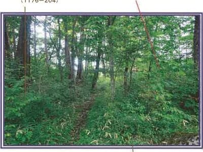 (値下げ) 山梨県北杜市 甲斐小泉駅20分 土地 93万円の競売物件情報 #6