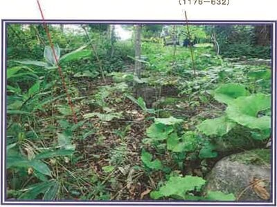 (値下げ) 山梨県北杜市 甲斐小泉駅20分 土地 93万円の競売物件情報 #9