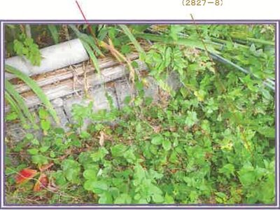 (値下げ) 山梨県甲斐市 竜王駅15分 戸建て 396万円の競売物件情報 #18