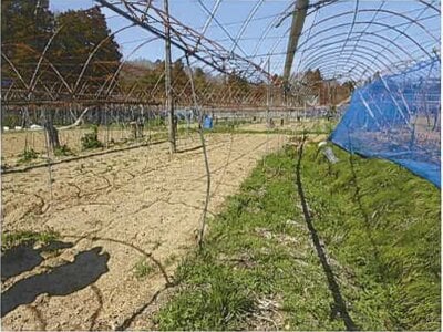 三重県四日市市 山城駅17分 土地 46万円の競売物件情報 #1