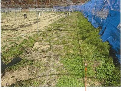 三重県四日市市 山城駅17分 土地 46万円の競売物件情報 #3