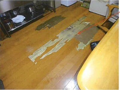 三重県四日市市 大羽根園駅 戸建て 9万円の競売物件情報 #3