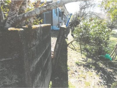 鹿児島県肝属郡錦江町 土地 7万円の競売物件情報 #13