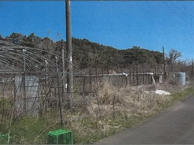 鹿児島県志布志市 志布志駅 農地 66万円の競売物件情報 #10