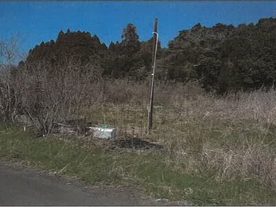 鹿児島県志布志市 志布志駅 農地 66万円の競売物件情報 #11