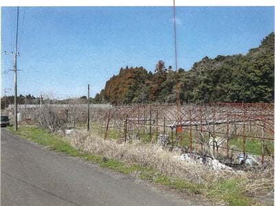 鹿児島県志布志市 志布志駅 農地 66万円の競売物件情報 #3