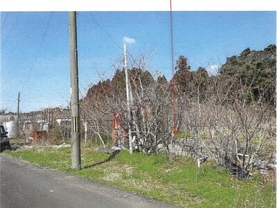 鹿児島県志布志市 志布志駅 農地 66万円の競売物件情報 #4