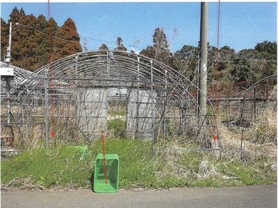 鹿児島県志布志市 志布志駅 農地 66万円の競売物件情報 #8