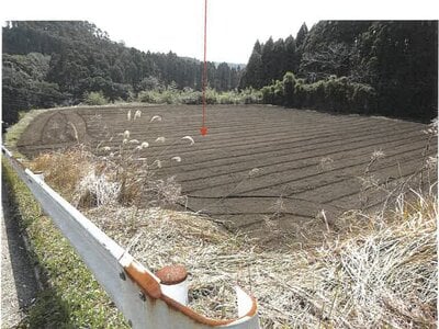 鹿児島県志布志市 志布志駅 農地 59万円の競売物件情報 #1