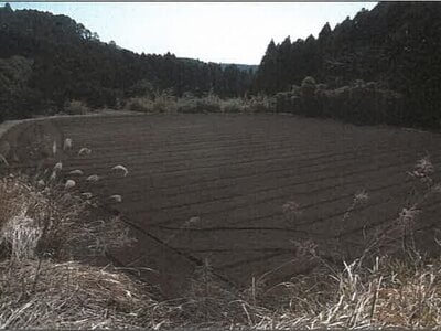 鹿児島県志布志市 志布志駅 農地 59万円の競売物件情報 #10