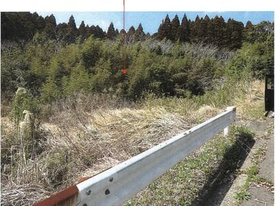 鹿児島県志布志市 志布志駅 農地 59万円の競売物件情報 #2