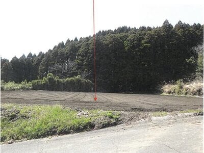 鹿児島県志布志市 志布志駅 農地 59万円の競売物件情報 #3