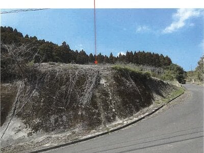鹿児島県志布志市 志布志駅 農地 59万円の競売物件情報 #4