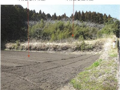 鹿児島県志布志市 志布志駅 農地 59万円の競売物件情報 #5