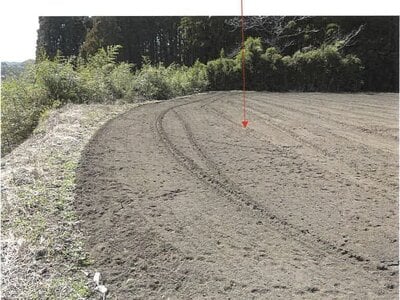鹿児島県志布志市 志布志駅 農地 59万円の競売物件情報 #6