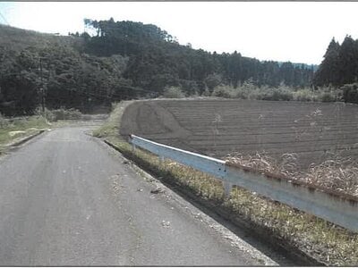鹿児島県志布志市 志布志駅 農地 59万円の競売物件情報 #9