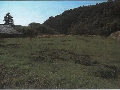 鹿児島県志布志市 志布志駅 農地 37万円の競売物件情報 #11