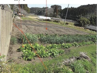 鹿児島県志布志市 志布志駅 農地 37万円の競売物件情報 #3