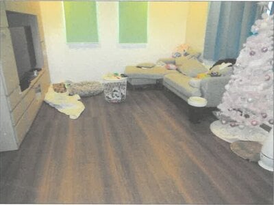 神奈川県海老名市 海老名駅21分 戸建て 2,477万円の競売物件情報 #2