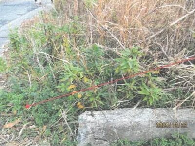 徳島県徳島市 中田駅29分 土地 91万円の競売物件情報 #3