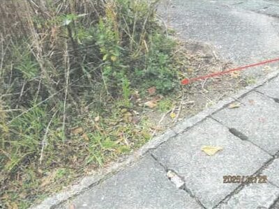 徳島県徳島市 中田駅29分 土地 91万円の競売物件情報 #4