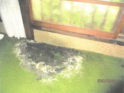 徳島県吉野川市 阿波山川駅18分 戸建て 120万円の競売物件情報 #12