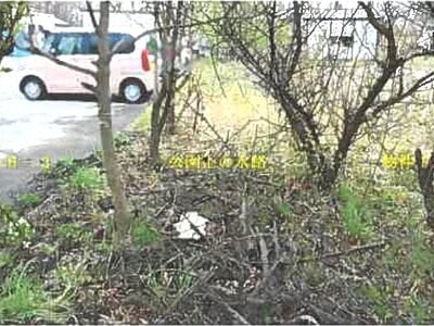 (値下げ) 秋田県南秋田郡五城目町 八郎潟駅 土地 80万円の競売物件情報 #2