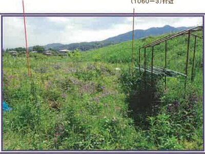山梨県西八代郡市川三郷町 市川大門駅14分 農地 29万円の競売物件情報 #10
