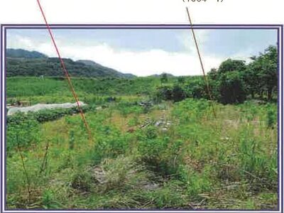 山梨県西八代郡市川三郷町 市川大門駅14分 農地 29万円の競売物件情報 #12