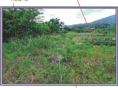 山梨県西八代郡市川三郷町 市川大門駅14分 農地 29万円の競売物件情報 #13