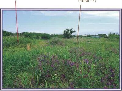 山梨県西八代郡市川三郷町 市川大門駅14分 農地 29万円の競売物件情報 #17