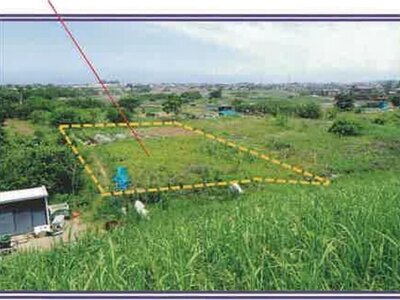 山梨県西八代郡市川三郷町 市川大門駅14分 農地 29万円の競売物件情報 #4
