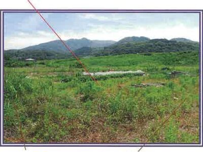 山梨県西八代郡市川三郷町 市川大門駅14分 農地 29万円の競売物件情報 #6