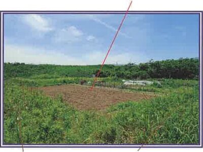 山梨県西八代郡市川三郷町 市川大門駅14分 農地 29万円の競売物件情報 #7