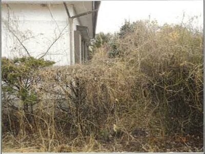 長野県駒ヶ根市 小町屋駅12分 戸建て 163万円の競売物件情報 #9