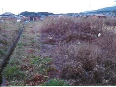 (値下げ) 和歌山県橋本市 隅田駅11分 農地 138万円の競売物件情報 #5