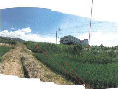 (値下げ) 香川県丸亀市 岡田駅20分 農地 14万円の競売物件情報 #5