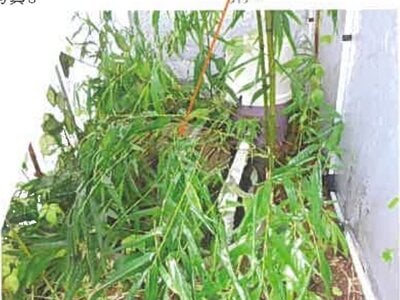 広島県竹原市 白市駅 戸建て 149万円の競売物件情報 #6