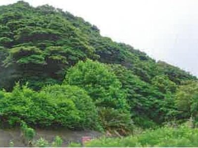 長崎県佐世保市 皆瀬駅 戸建て 221万円の競売物件情報 #31