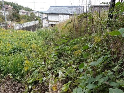 (値下げ) 岐阜県多治見市 多治見駅 土地 85万円の国税庁公売物件情報 #4