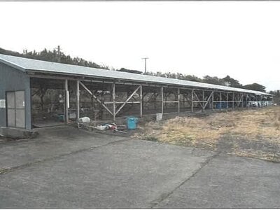 鹿児島県日置市 土地 125万円の競売物件情報 #12