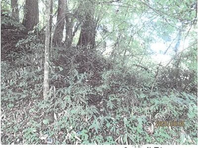 (値下げ) 長野県南佐久郡佐久穂町 羽黒下駅 戸建て 214万円の競売物件情報 #14