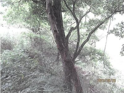 (値下げ) 長野県南佐久郡佐久穂町 羽黒下駅 戸建て 214万円の競売物件情報 #21