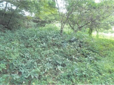 (値下げ) 長野県南佐久郡佐久穂町 羽黒下駅 戸建て 214万円の競売物件情報 #57