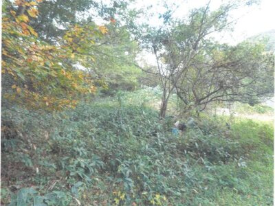 (値下げ) 長野県南佐久郡佐久穂町 羽黒下駅 戸建て 214万円の競売物件情報 #71