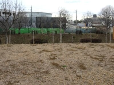 神奈川県横浜市都筑区 小机駅19分 農地 916万円の国有財産売却物件情報 #3