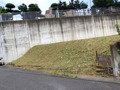 埼玉県川口市 戸塚安行駅3分 農地 7,280万円の国有財産売却物件情報 #2