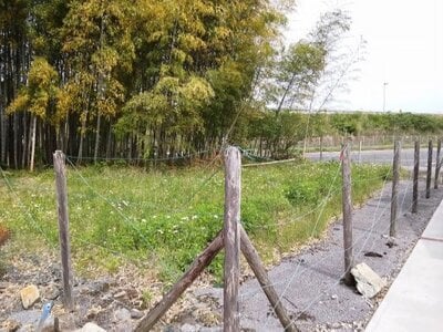 栃木県宇都宮市 東武宇都宮駅 土地 111万円の国有財産売却物件情報 #3