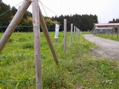 (値下げ) 栃木県日光市 下今市駅23分 農地 406万円の国有財産売却物件情報 #1